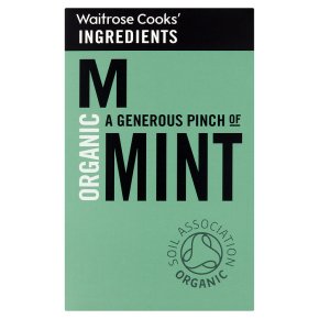 Cooks' Ingredients Mint 14g